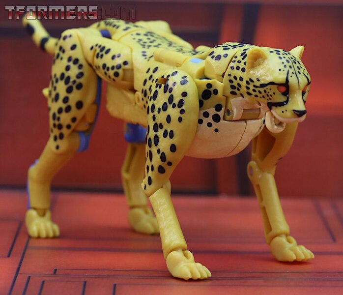 Transformers Kingdom Cheetor Wave 1 Deluxe Class  (11 of 34)